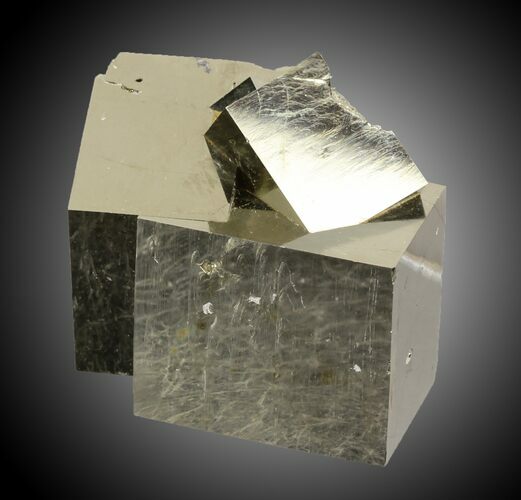 mm Pyrite Cube Cluster - Navajun, Spain #31005